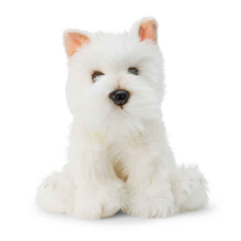 Animigos | World of Nature | Westie Dog | Front View | ChocoLoons