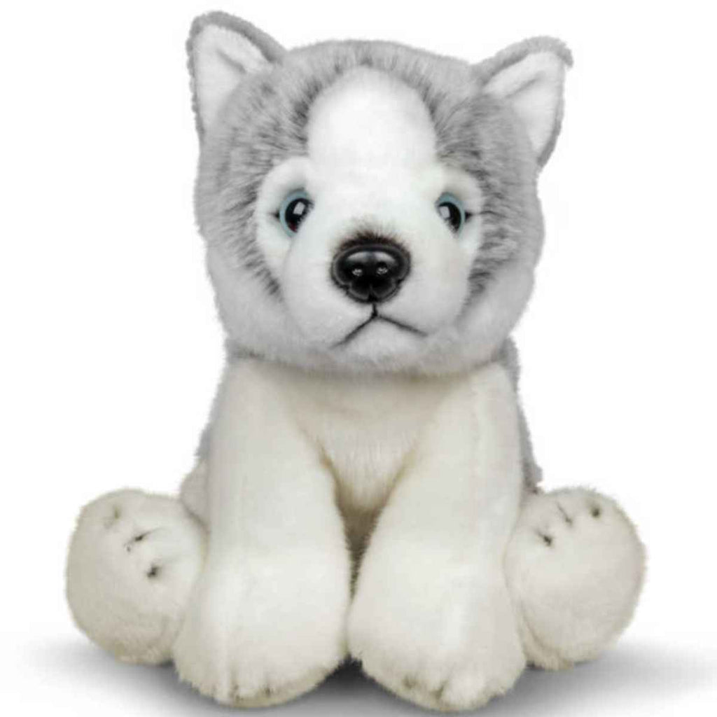 Animigos | World of Nature | Husky Dog | Front View | ChocoLoons