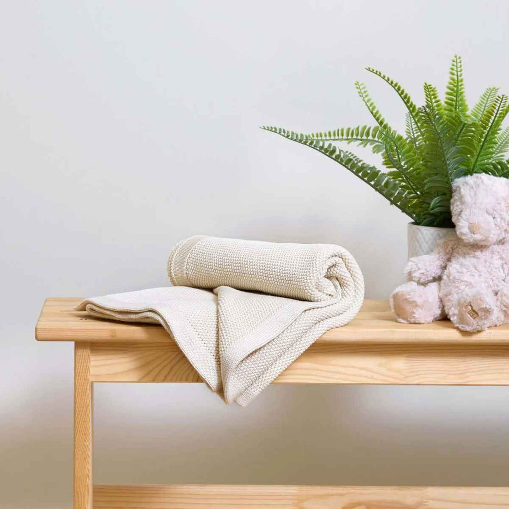 Wooden bench with folded blanket, potted plant, and teddy bear against a light background