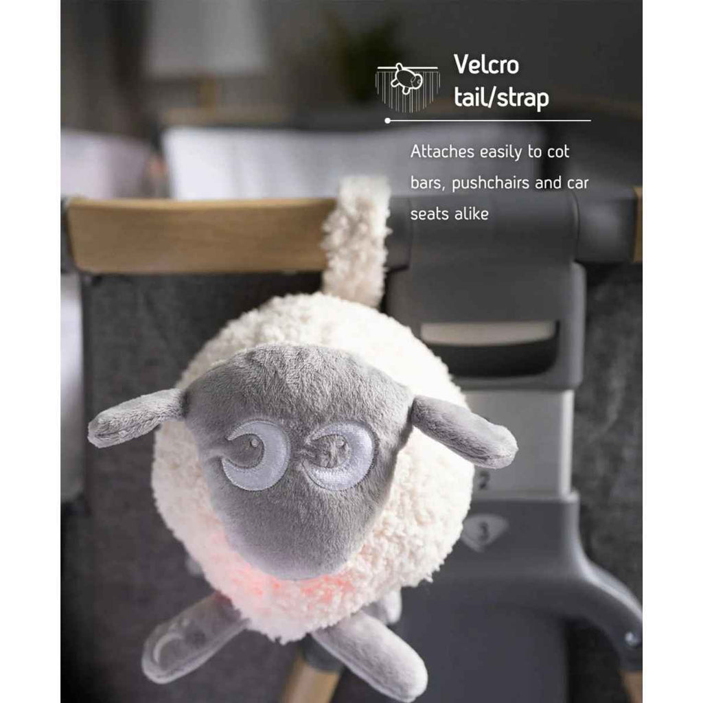 Ewan Sheep | Deluxe Rechargeable | Grey | Velcro | ChocoLoons