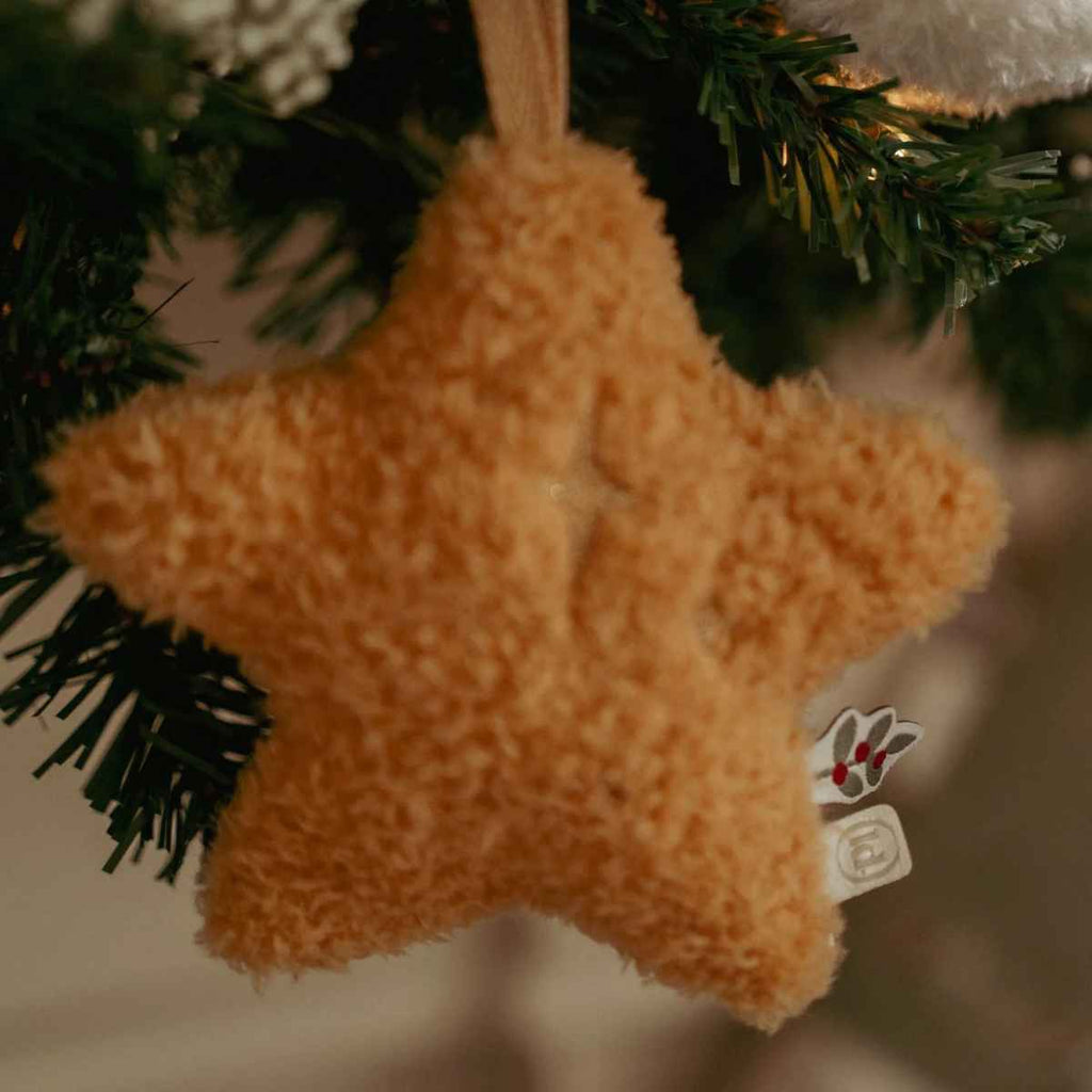 Star-shaped Christmas ornament hanging on a Christmas tree