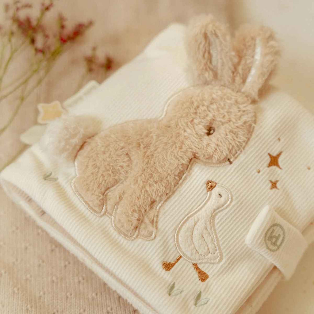 A soft picture of an activity book with a bunny and a goose together.
