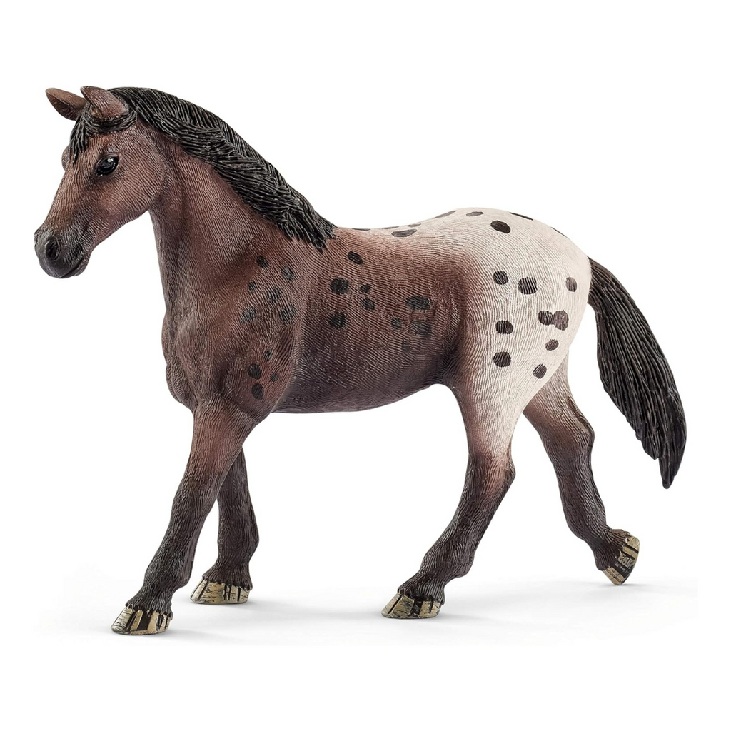 Schleich | Appaloosa Mare | ChocoLoons