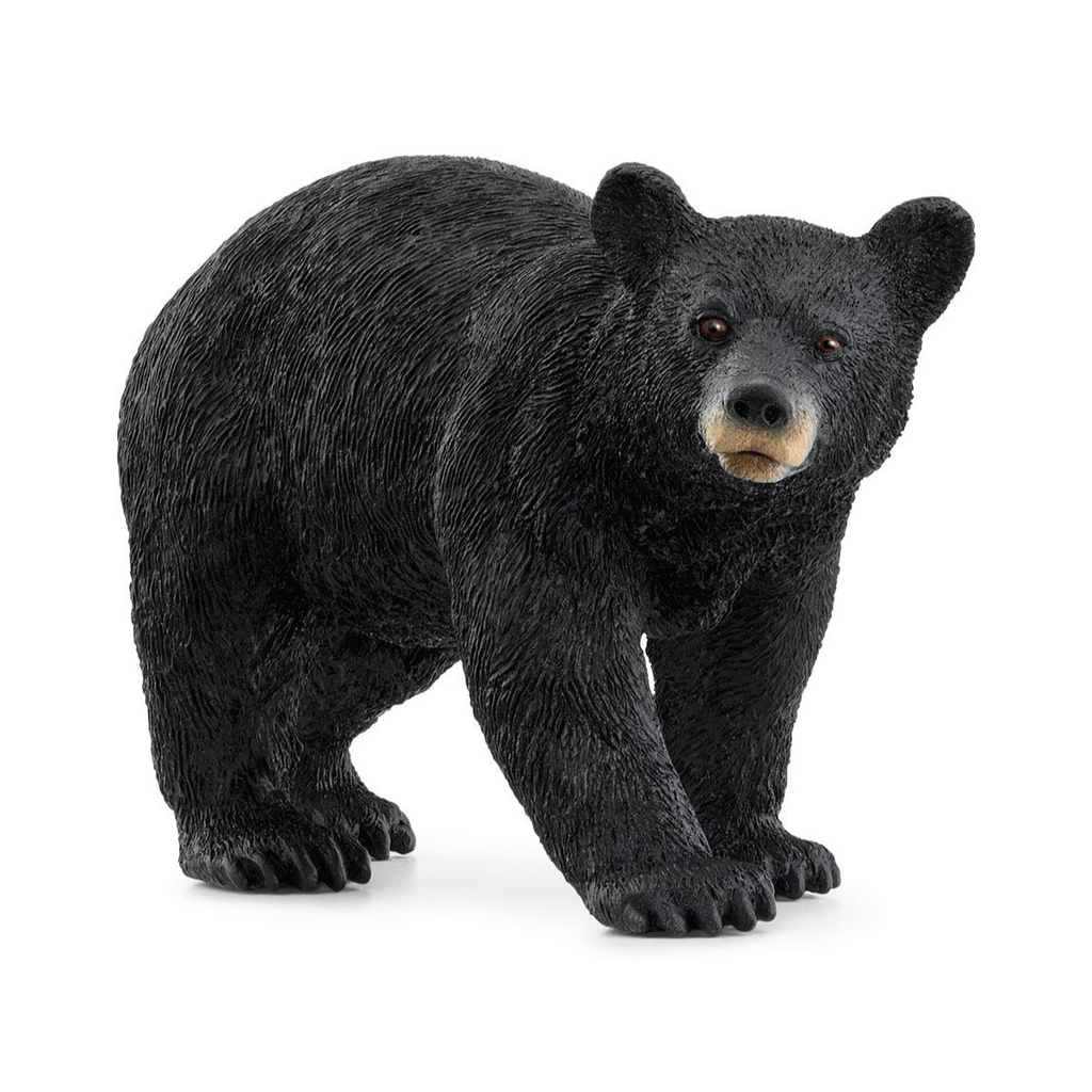 Schleich | American Black Bear | Figure | ChocoLoons