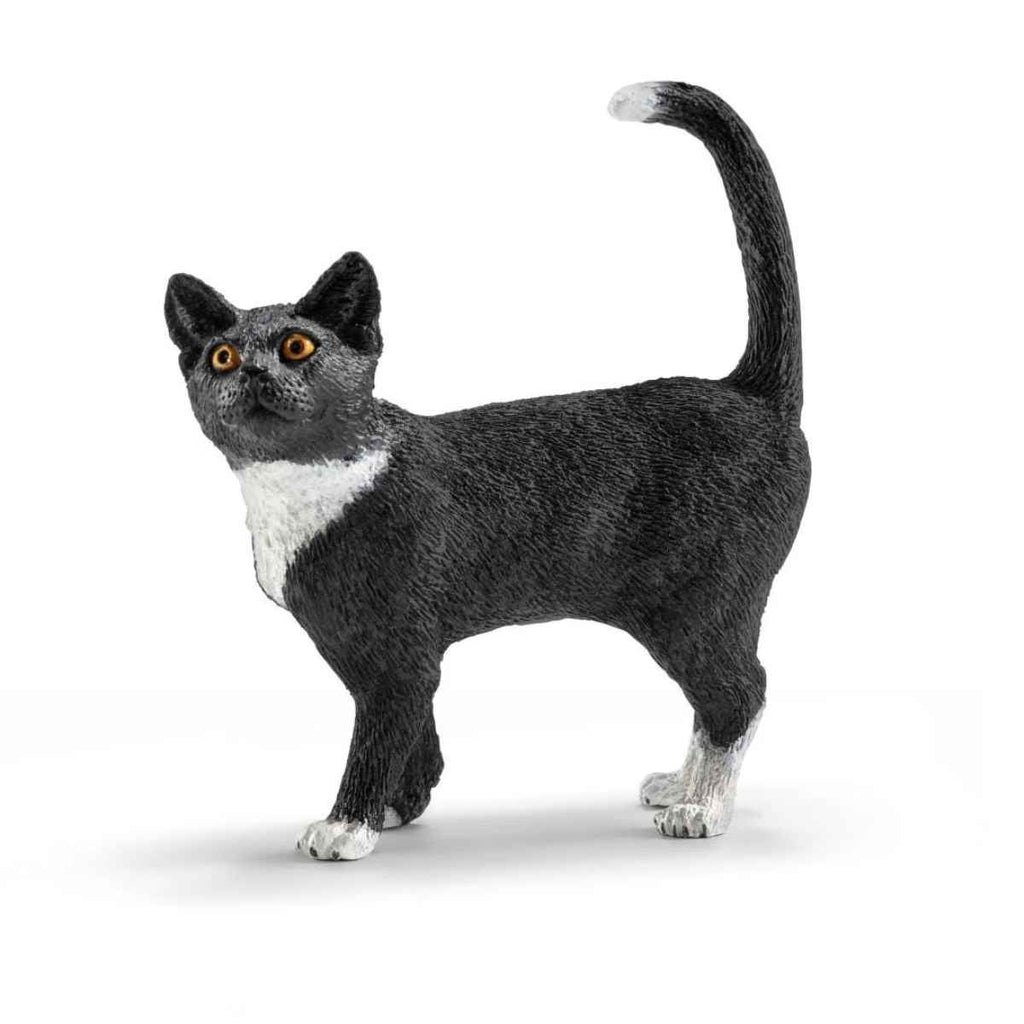 Schleich | Cat Standing | ChocoLoons