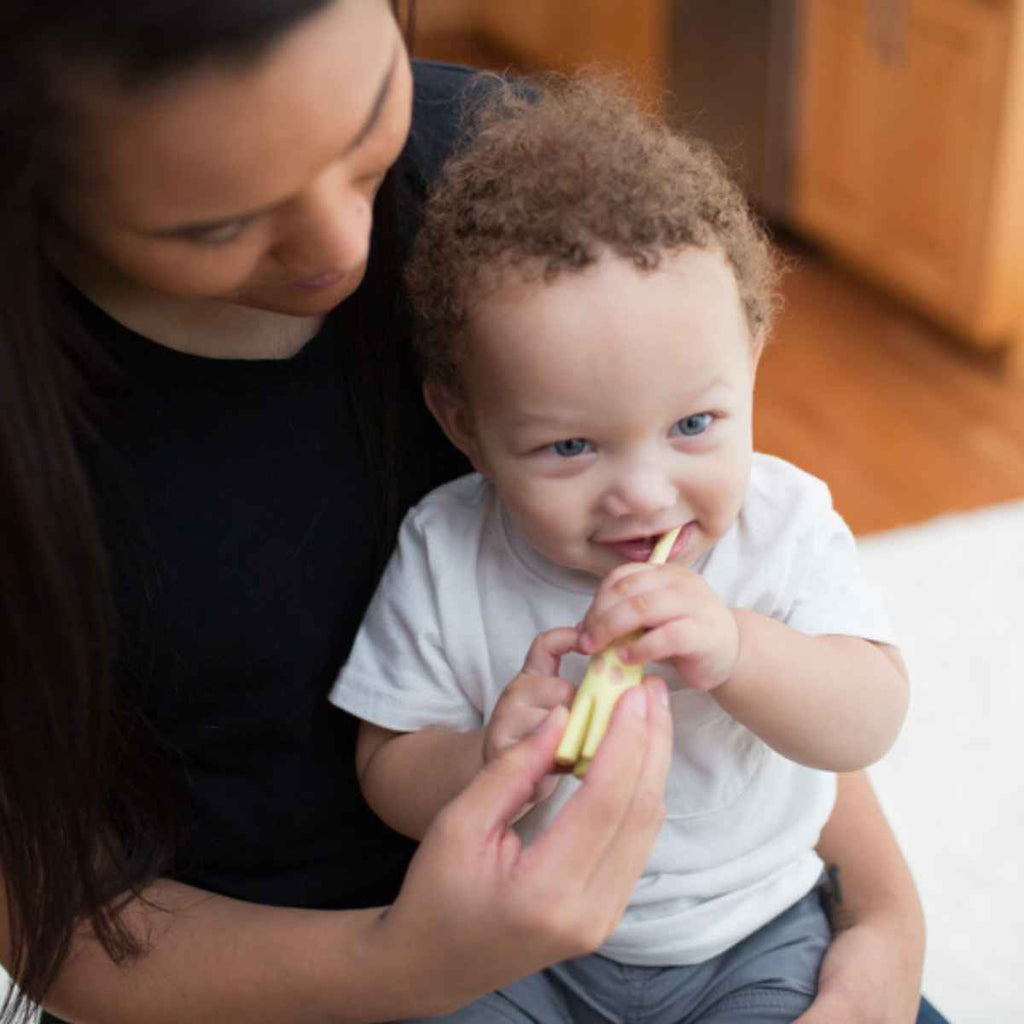 Dr Brown's | Baby Using Infant to Toddler Toothbrush | Giraffe | ChocoLoons