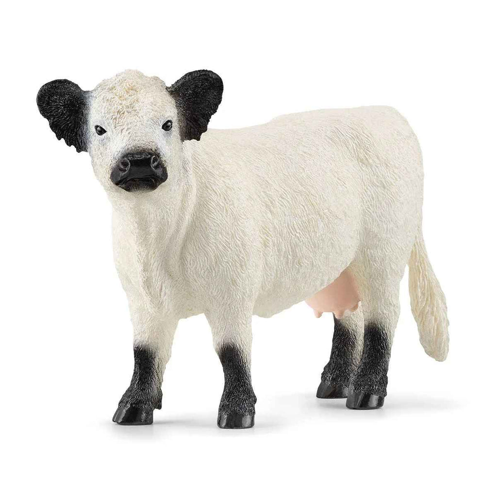 Schleich | Galloway Cattle | ChocoLoons