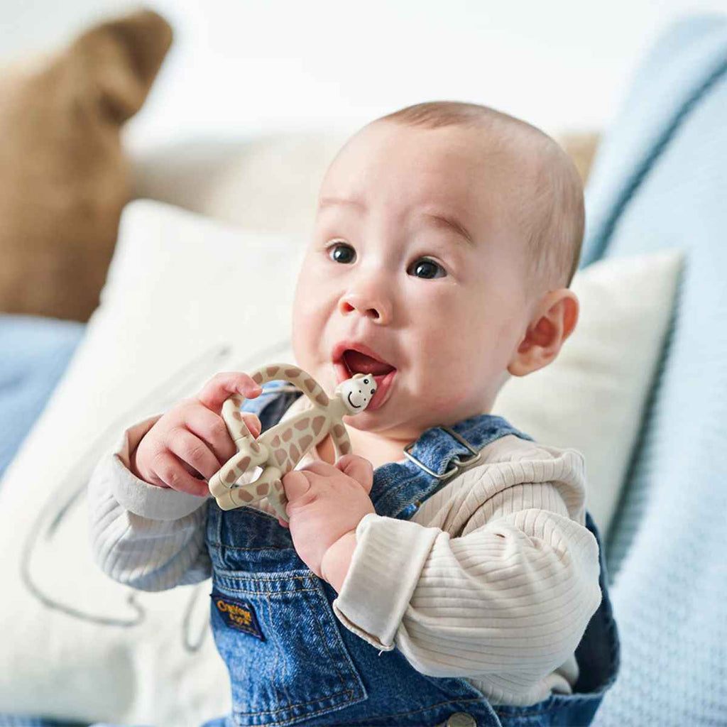 Matchstick Monkey | Baby Using Baby Teether | ChocoLoons