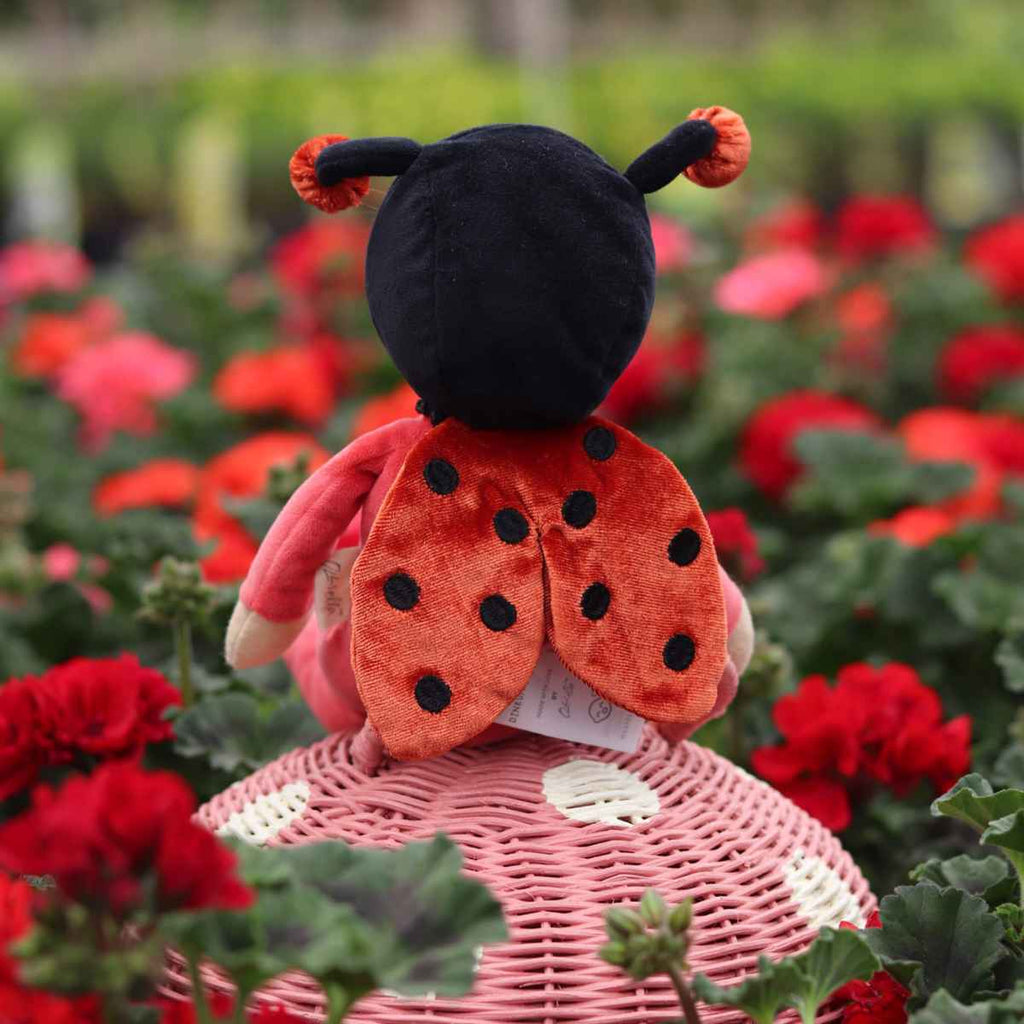 Olli Ella | Lola Ladybug | ChocoLoons