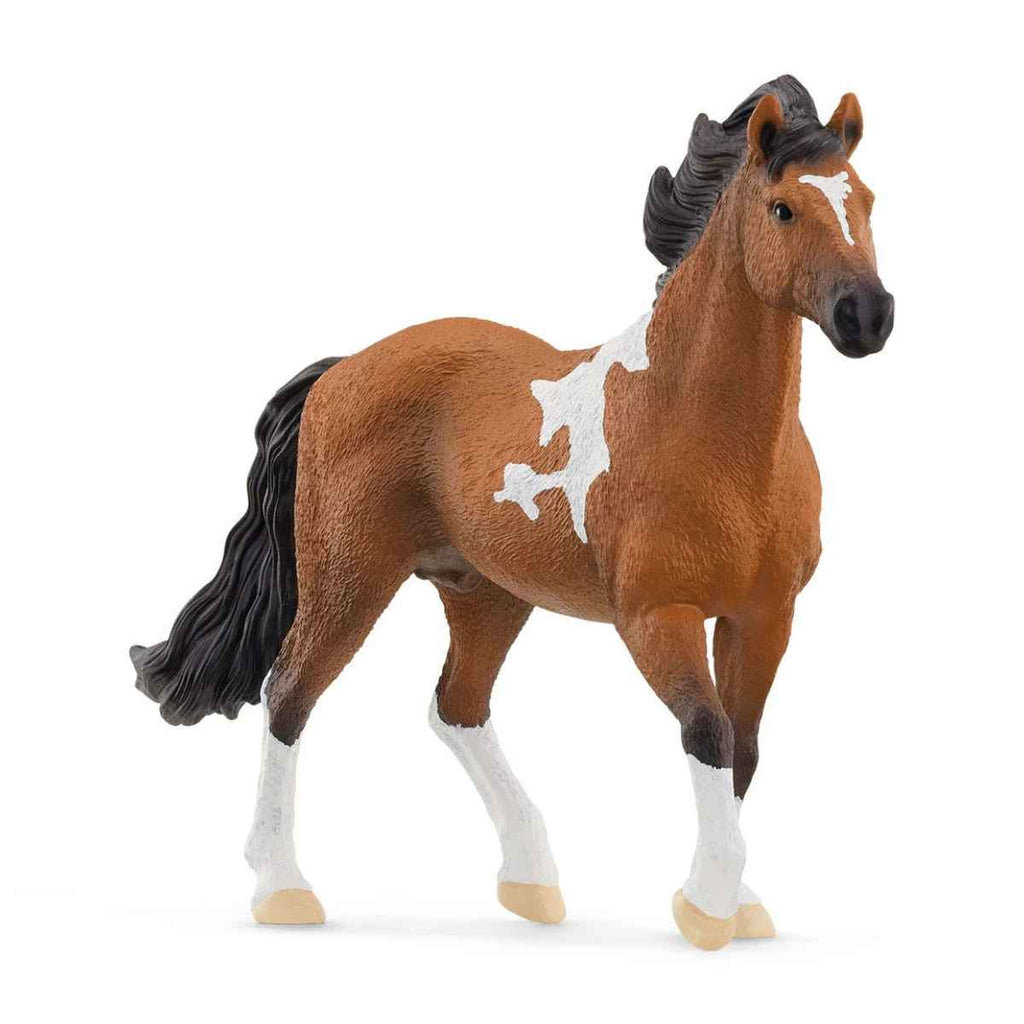 Schleich | Mangalarga Marchador Stallion | ChocoLoons