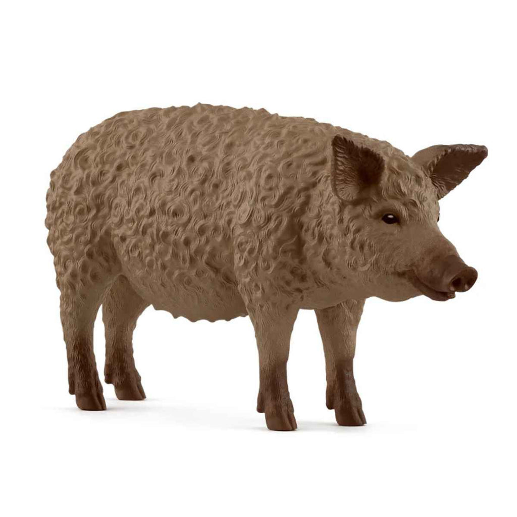 Schleich | Mangalica | ChocoLoons