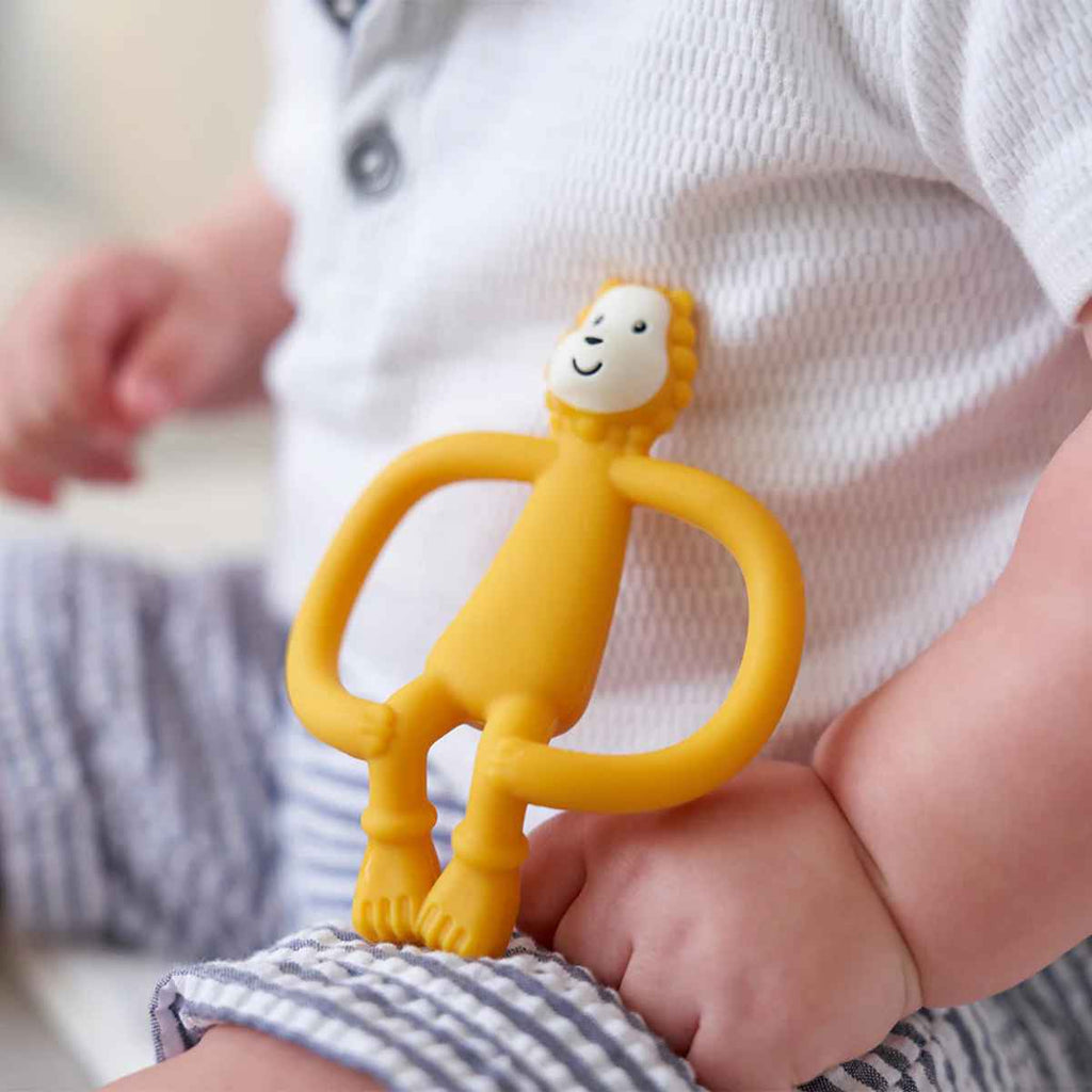 Matchstick Monkey | Ludo Lion Teether | ChocoLoons