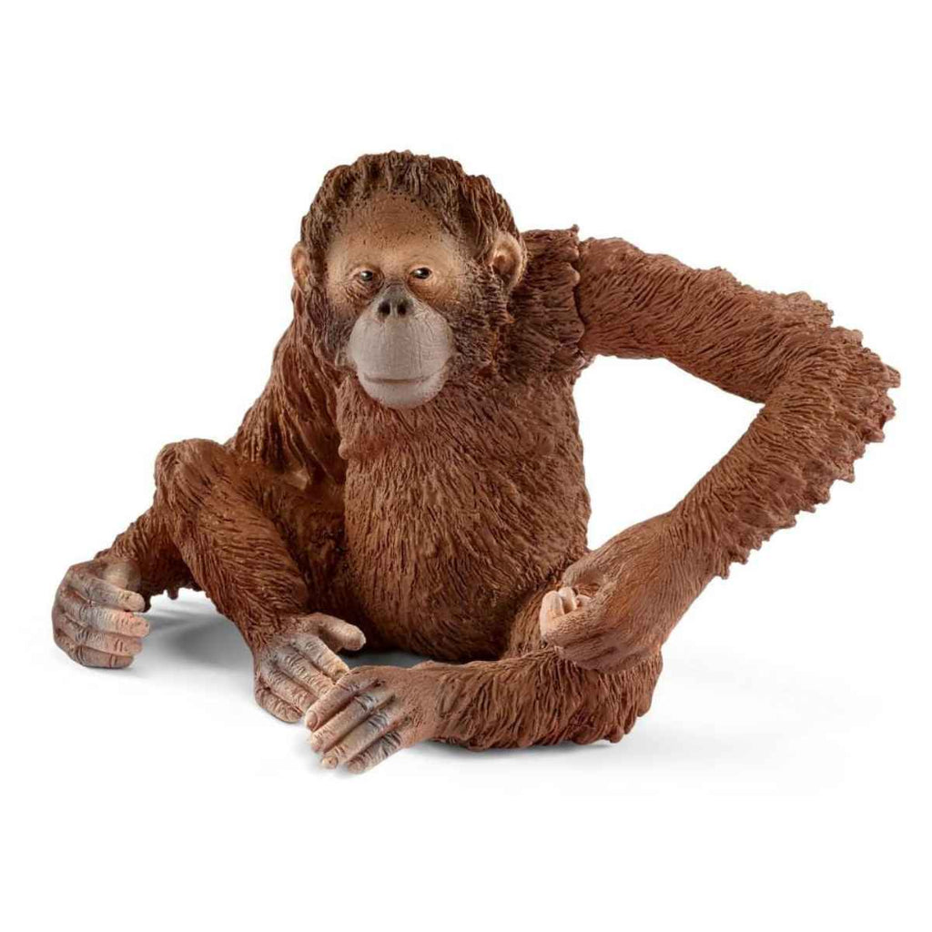 Schleich | Female Orangutan | ChocoLoons