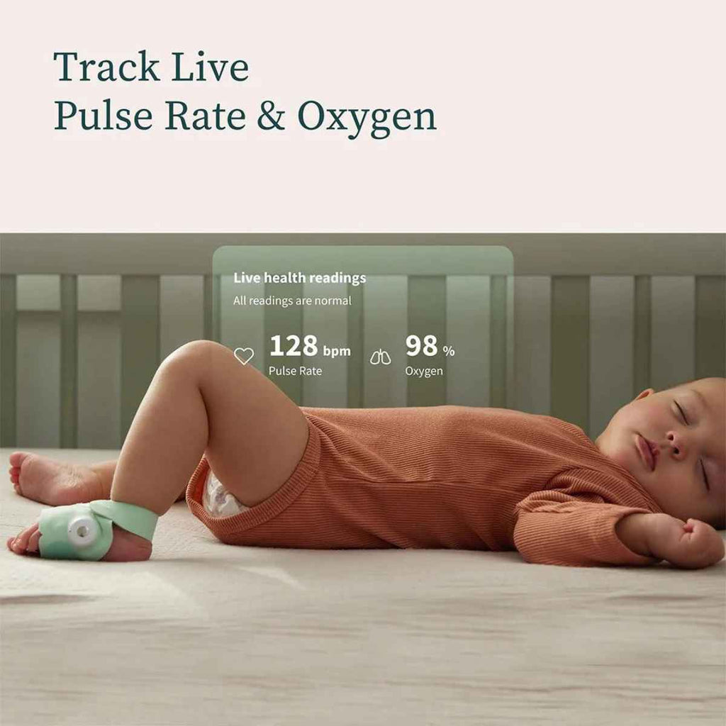 Owlet | Dream Duo™ | Live Tracking | ChocoLoons