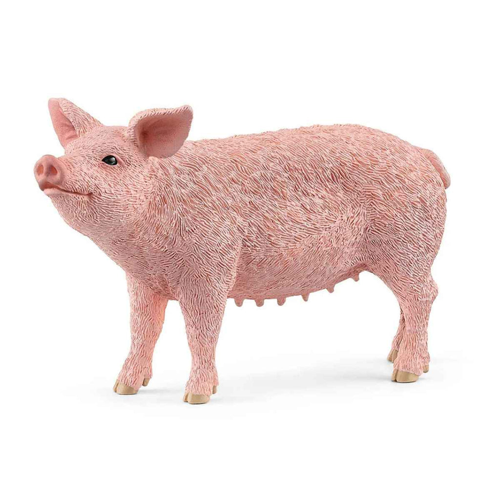 Schleich | Pig | ChocoLoons