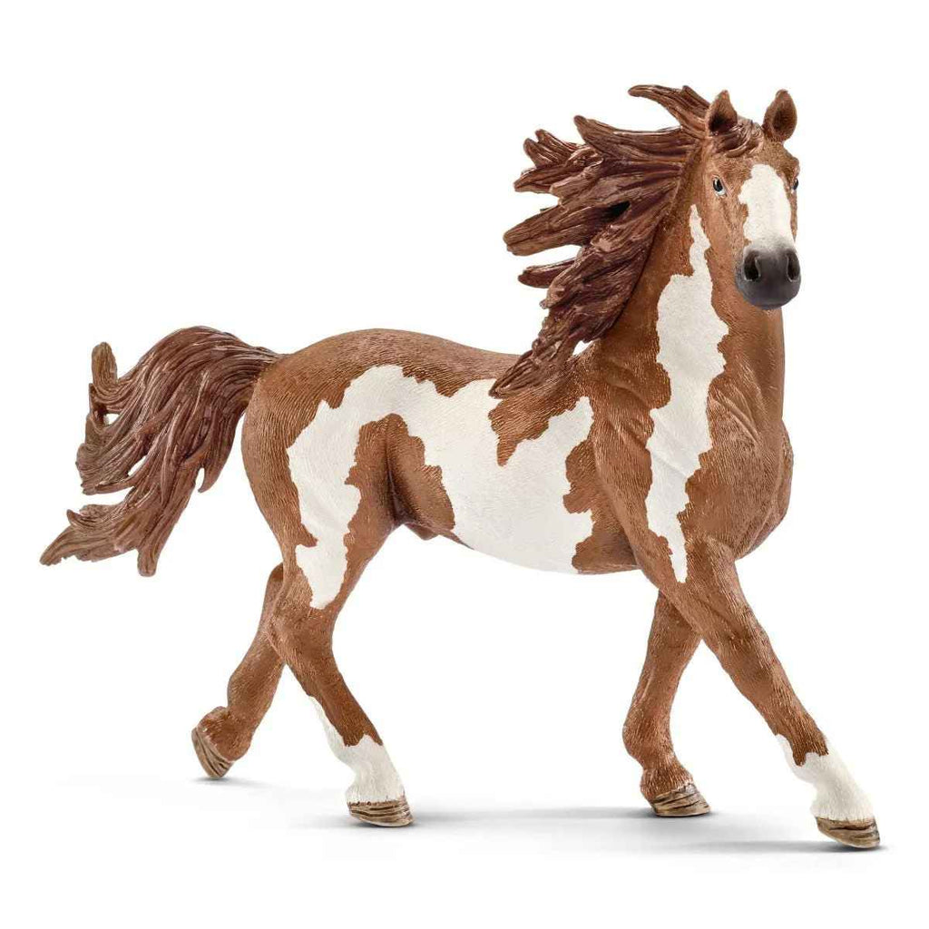 Schleich | Pinto Stallion | ChocoLoons