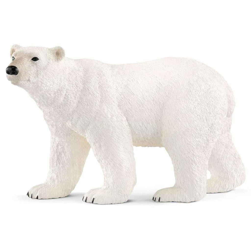 Schleich | Polar Bear | ChocoLoons