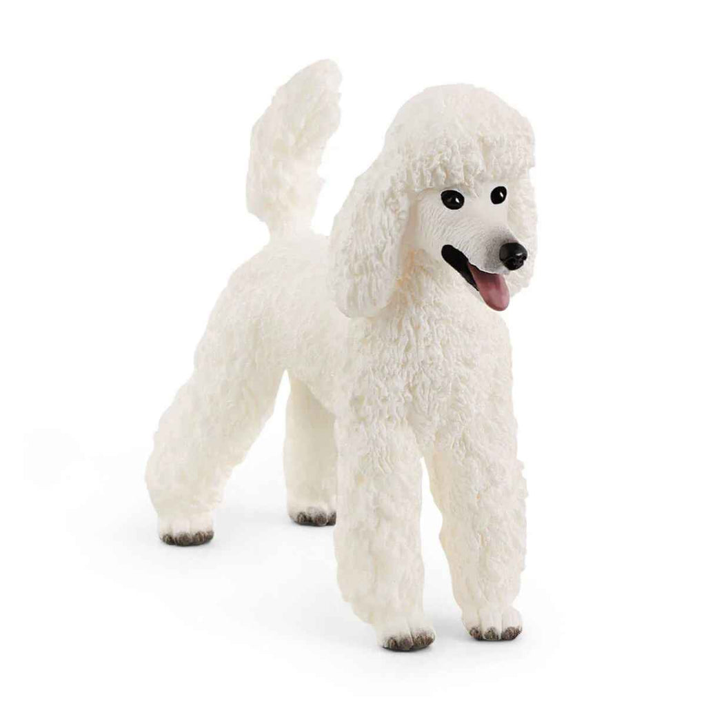 Schleich | Poodle | ChocoLoons