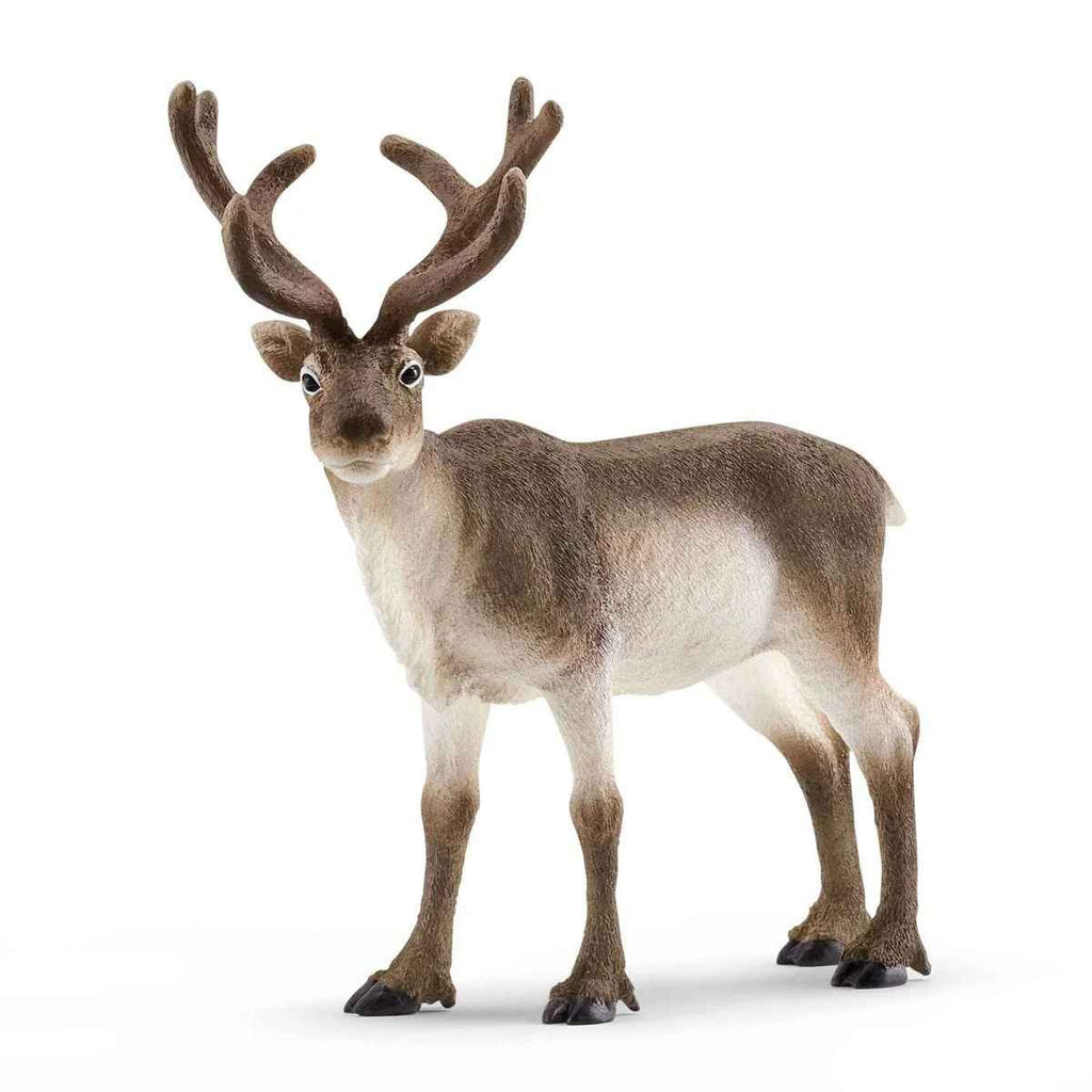 Schleich | Reindeer | ChocoLoons