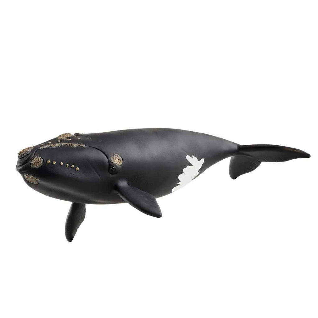 Schleich | North Atlantic Right Whale | ChocoLoons