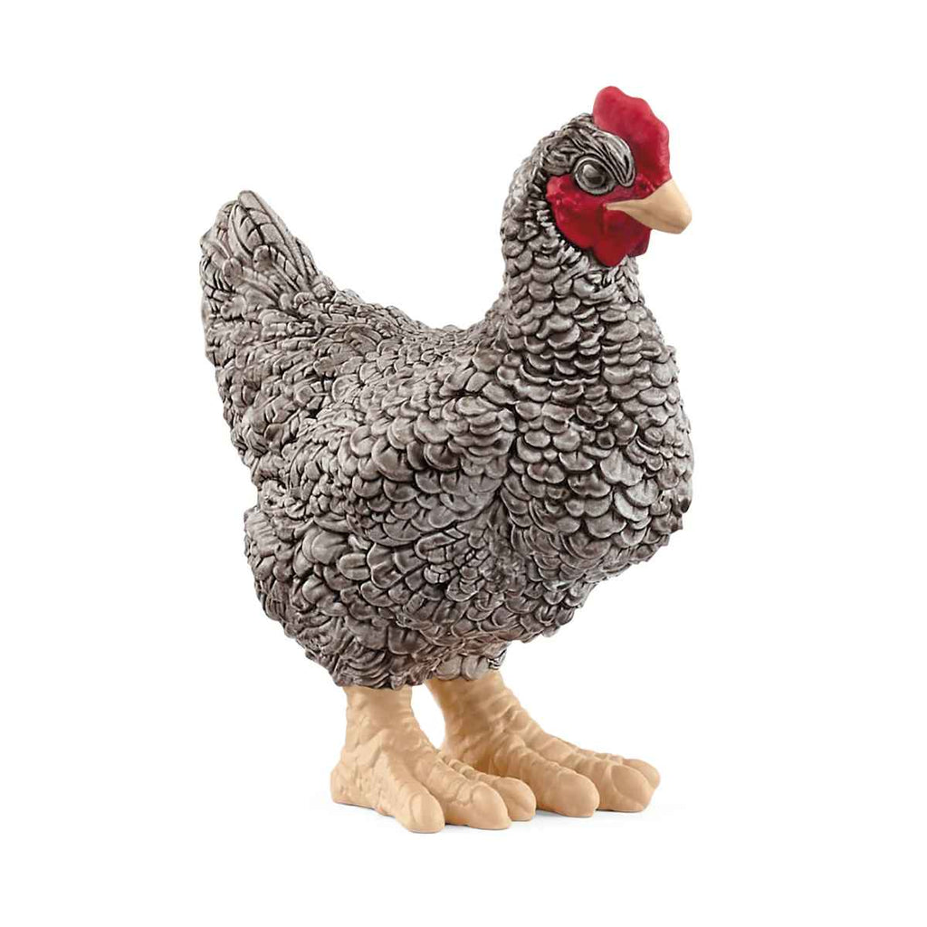 Schleich | Plymouth Rock Chicken | ChocoLoons
