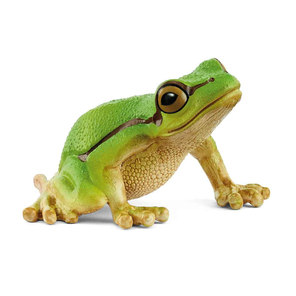 Schleich | European Tree Frog | ChocoLoons