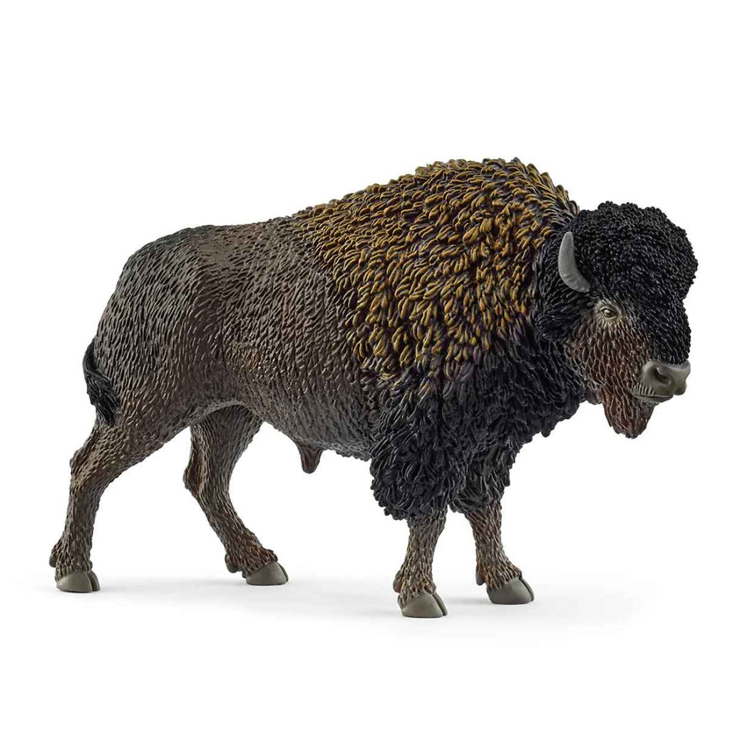 Schleich | Bison | ChocoLoons