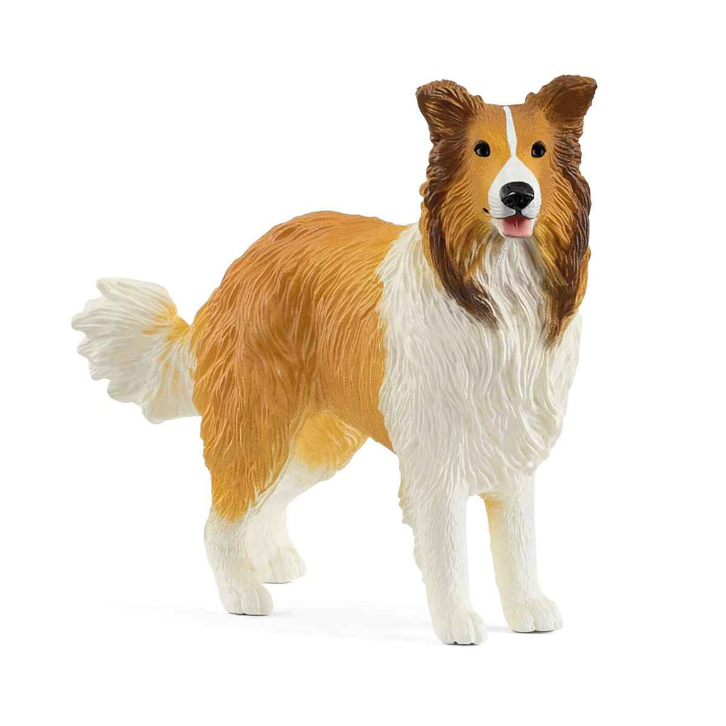 Schleich | Collie | ChocoLoons