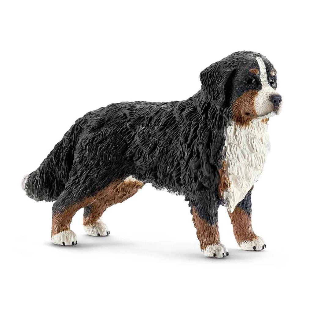 Schleich | Bernese Mountain Dog | Female | ChocoLoons