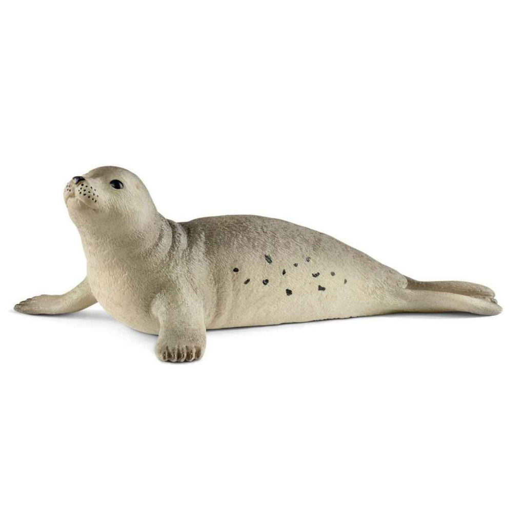 Schleich | Seal | ChocoLoons