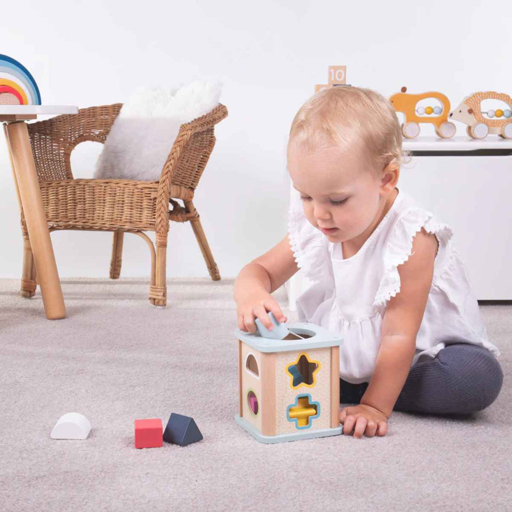 Bigjigs | Baby Playing With Shape Sorter | ChocoLoons