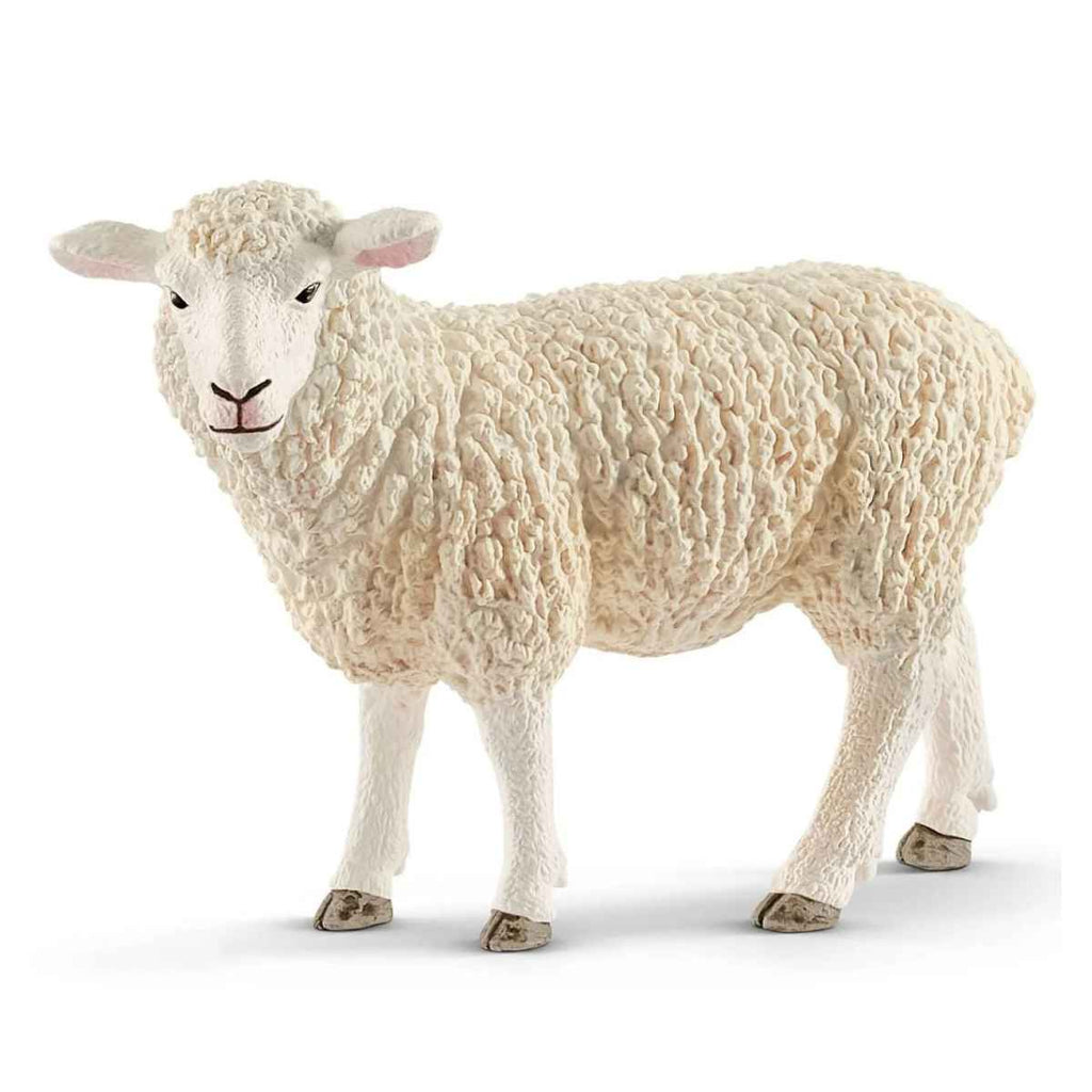 Schleich | Sheep | ChocoLoons