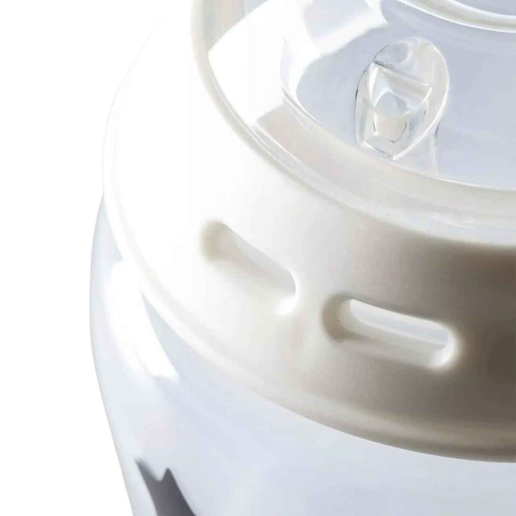 Tommee Tippee | Natural Start Baby Bottle 260ml 6 Pack | Bottle | ChocoLoons