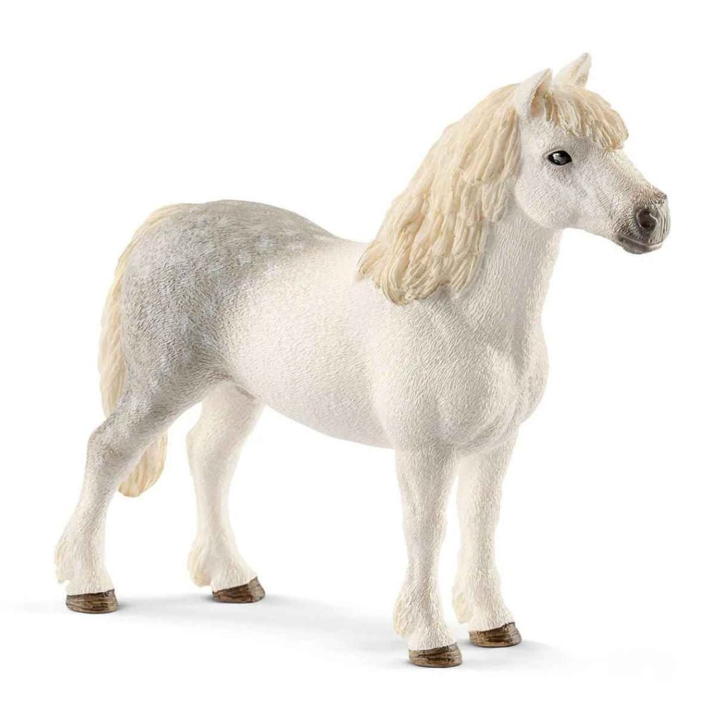 Schleich | Welsh Pony Stallion | ChocoLoons