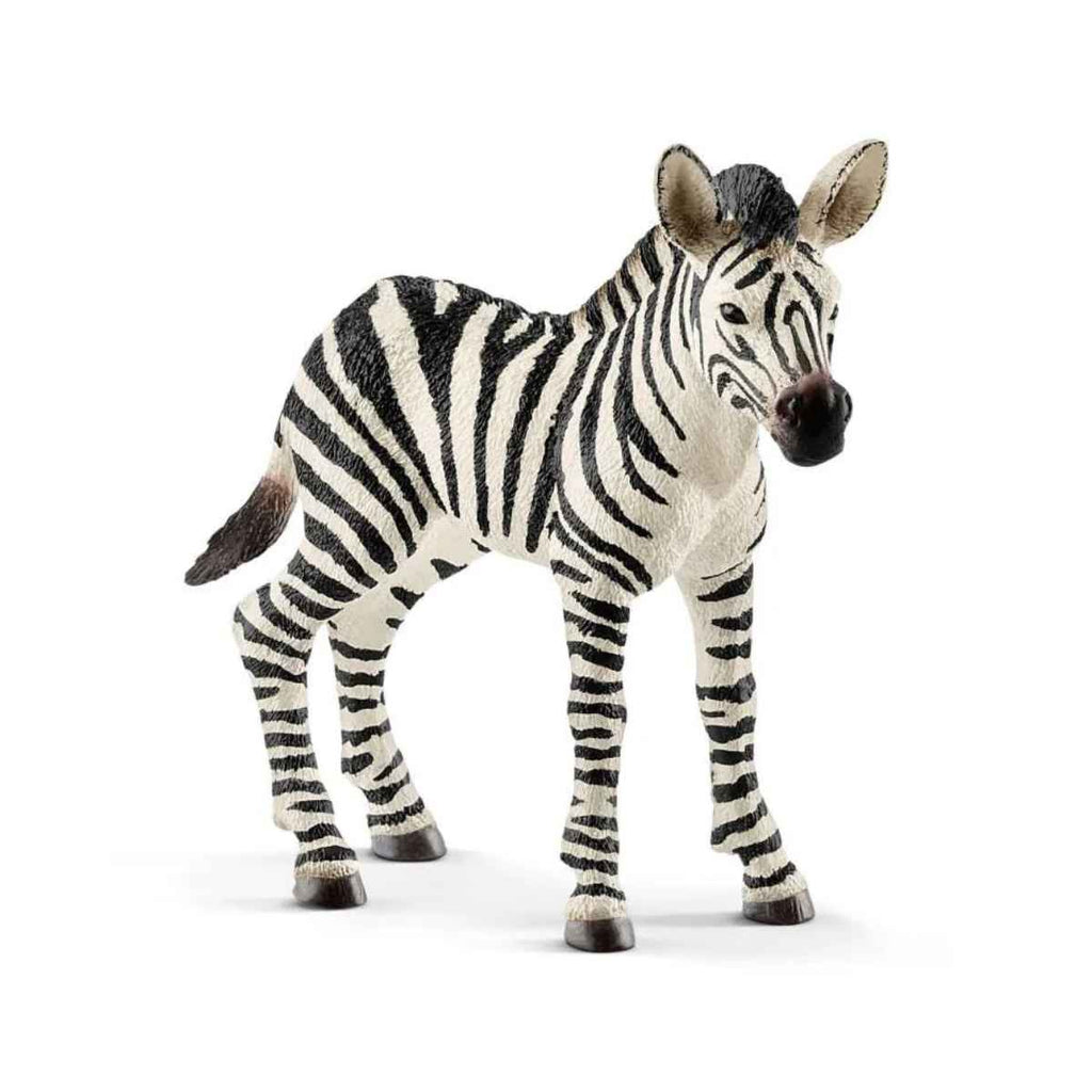 Schleich | Zebra Foal | ChocoLoons