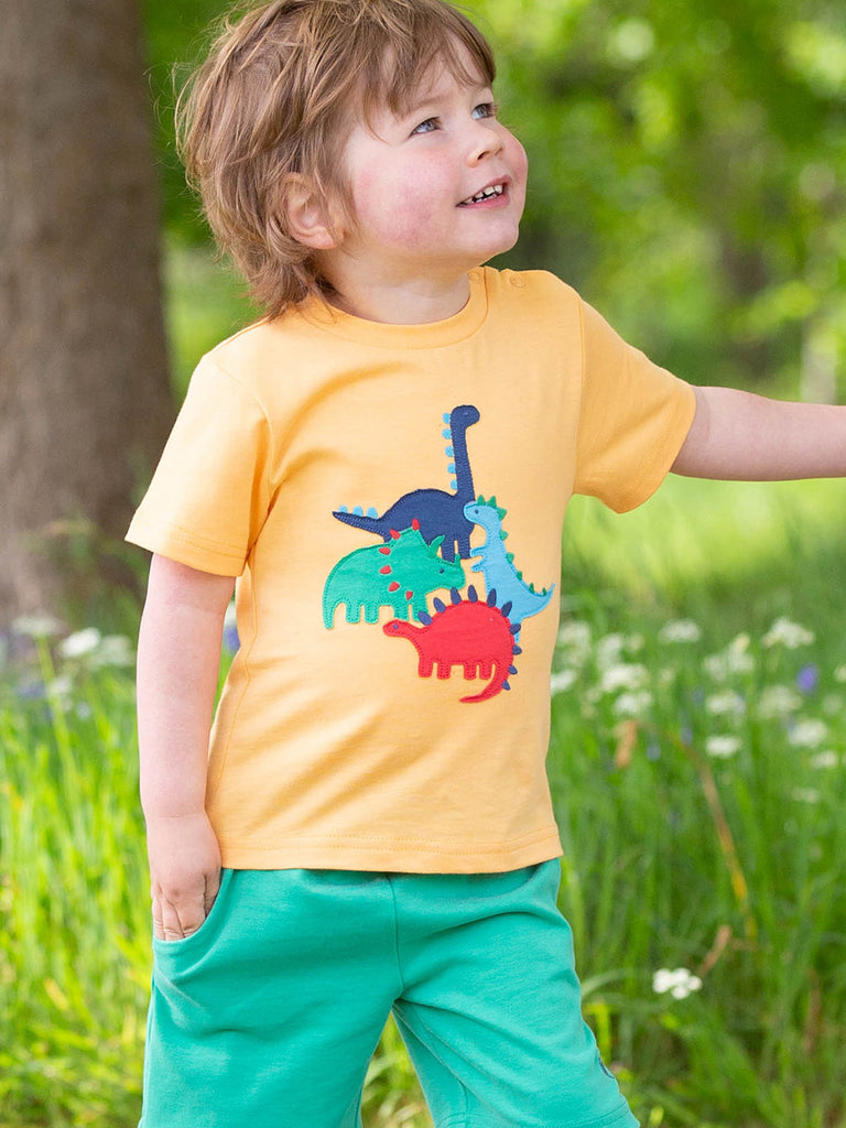 Boy Wearing Yellow T-Shirt with dinosaur appliqué | ChocoLoons