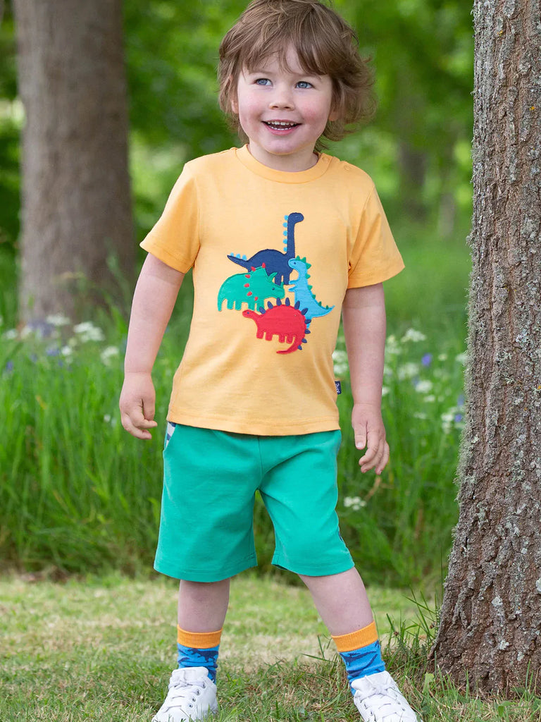 Kite Clothing | Boy Wearing Corfe Shorts | Green | ChocoLoons