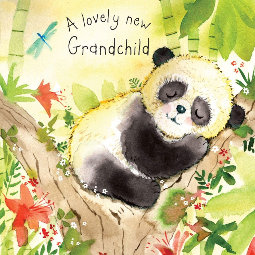 Twizler Cards | Fizzle & Pop | A Lovely New Grandchild Card | Chocoloons