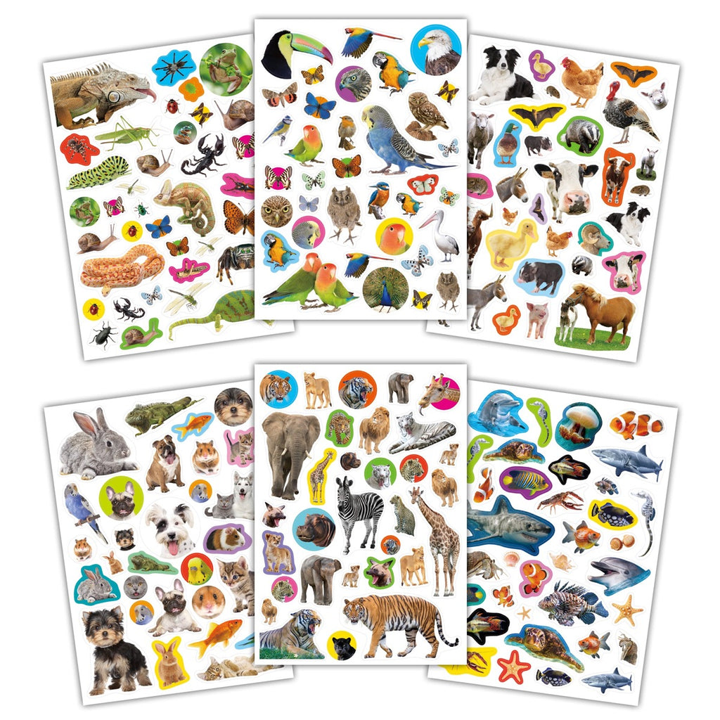 Galt Toys | Photographic Sticker Book | Example Pages | ChocoLoons